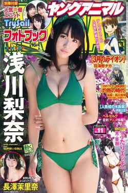 机动战舰抚子