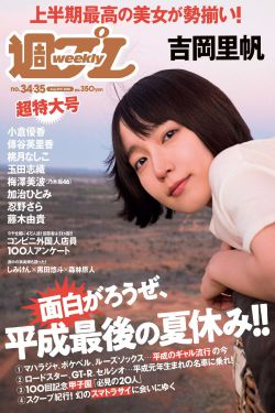 狎鸥亭报告