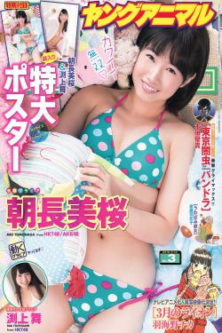 宝岛双雄高清完整版