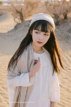十二生肖电视剧全集免费观看