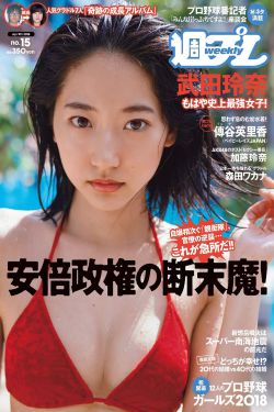 好汉两个半第九季