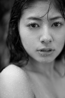 绿光森林电视剧全集免费观看